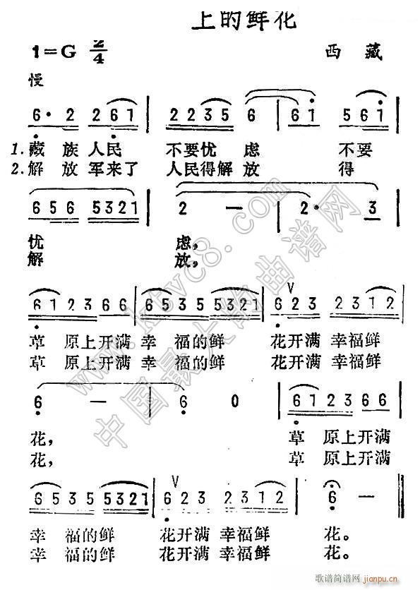 未知 《草原上的鲜花（西藏 民歌）》简谱