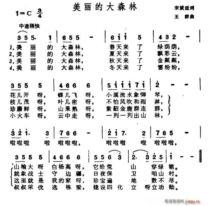 宋斌廷 《美丽的大森林》简谱