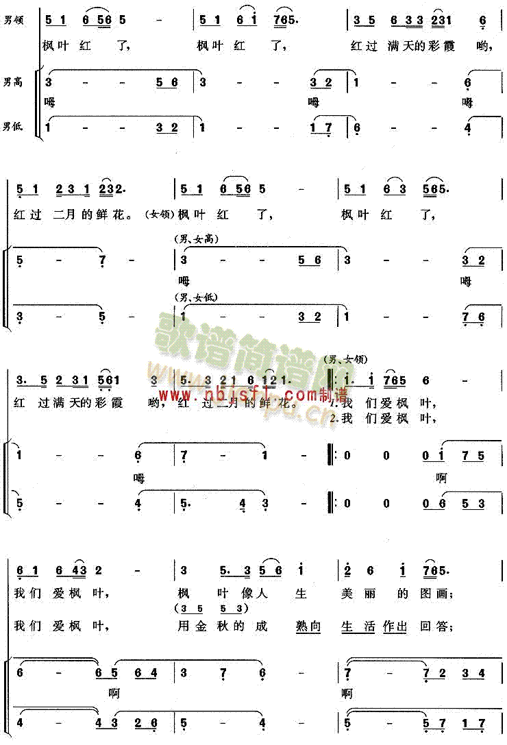 未知 《枫叶红了》简谱