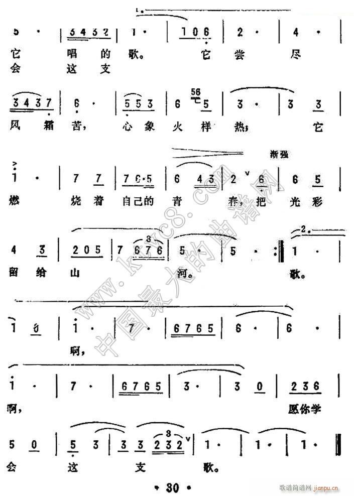 愿你学会这支歌（电影 《拼搏》简谱