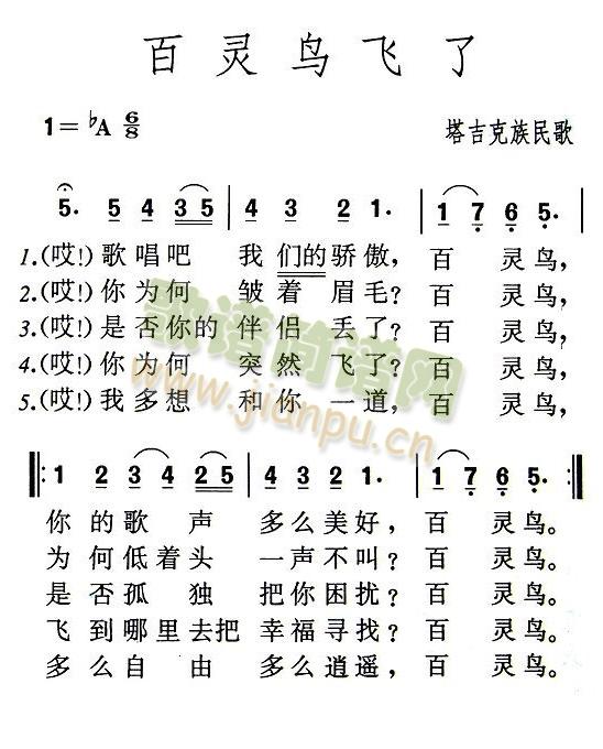 未知 《百灵鸟飞了》简谱