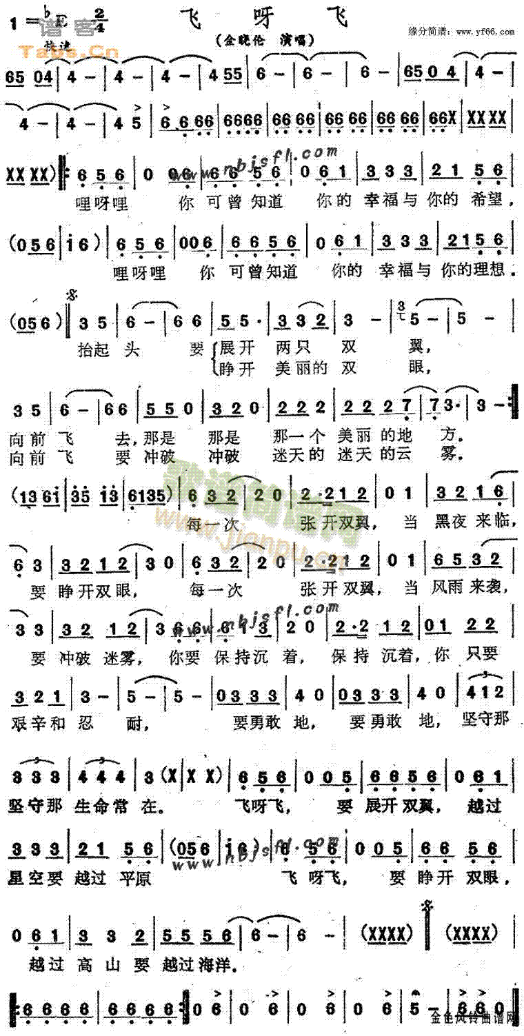 金晓伦 《飞呀飞》简谱