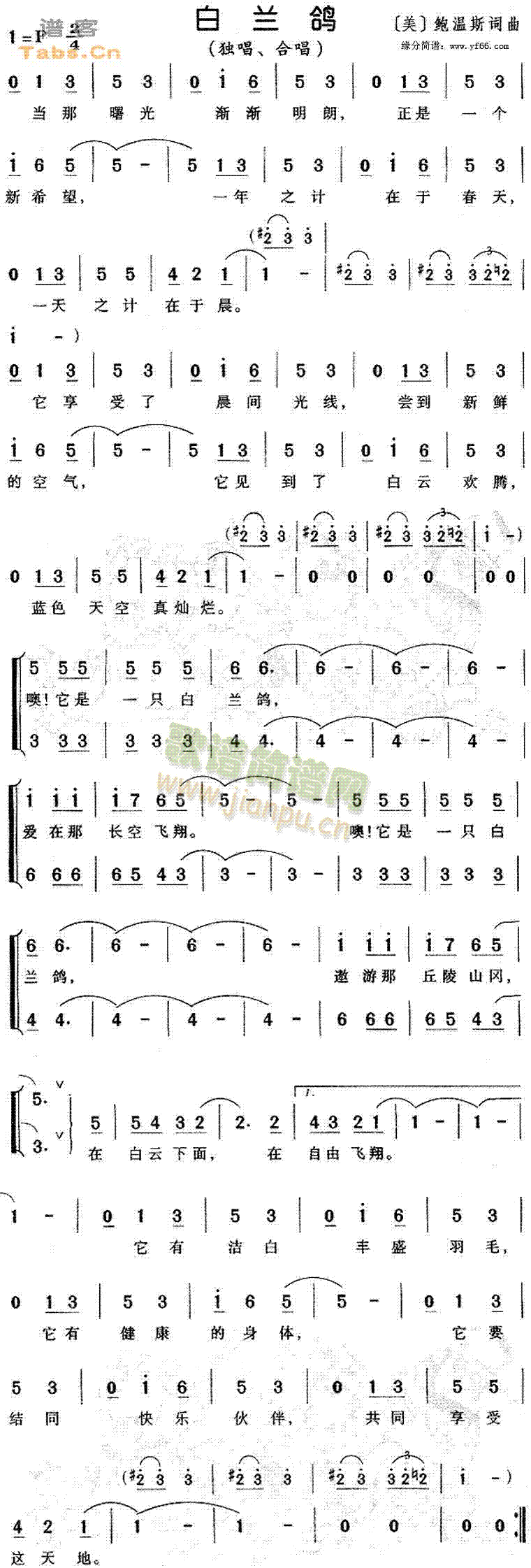 未知 《白兰鸽》简谱