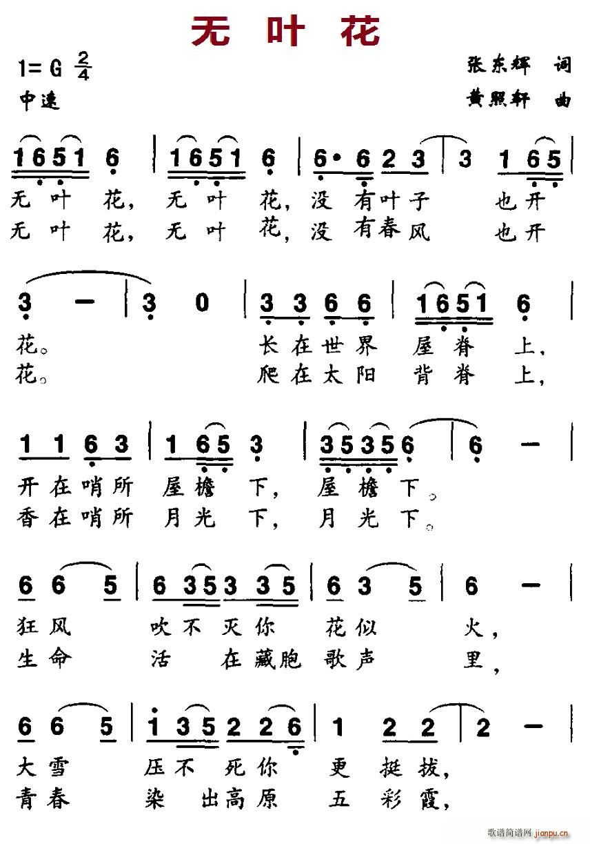 北京娃娃 张东辉 《无叶花》简谱