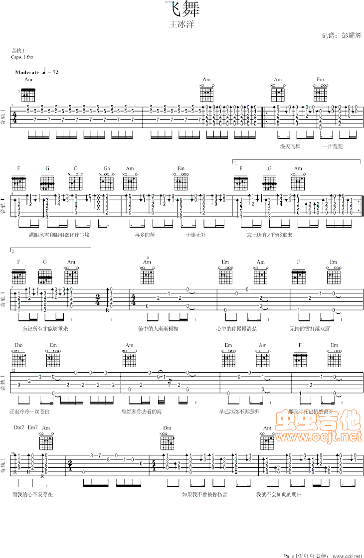 王冰洋   ynwxpyw 《飞舞—ynwxpyw编配版》简谱