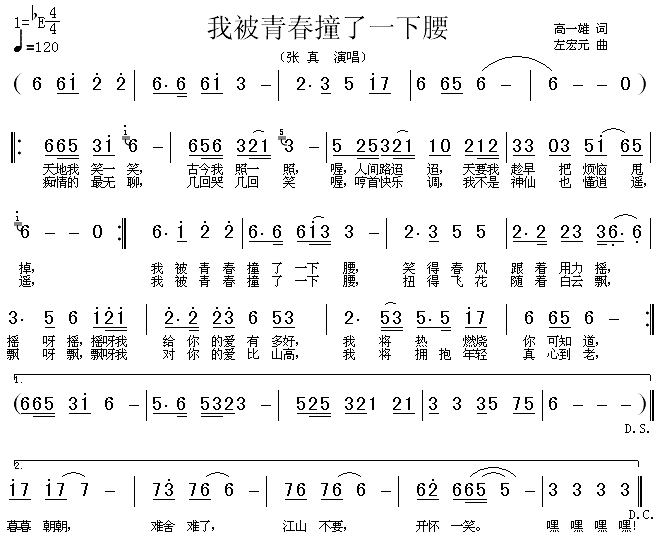 张真 《我被青春撞了一下腰》简谱