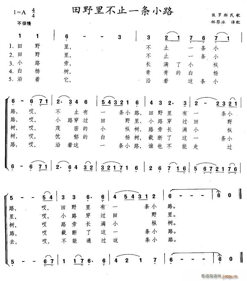 未知 《田野里不止一条小路（俄）》简谱