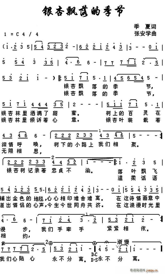 季夏 《银杏飘落的季节》简谱