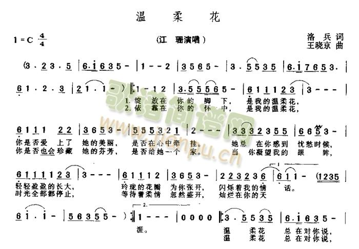 江珊 《温柔花》简谱