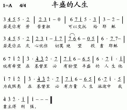 未知 《丰盛的人生》简谱