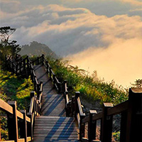 浮生全员   主【开头】山川汤汤流过华夏大地溪水潺潺越过如画江山树影磅礴倒映美人如画月影连连羞涩佳期如梦【中间】唱尽浮生，透骨凉墨染轩窗，砚池旁饮尽浮生，眸眼回影魂断江南，如今戏一场浮生犹在，荷塘映浮生散尽，风华谢浮生梦依，竹吟梦兮流年皆忘，梦戏浮生亭副【开头】微风轻轻略起谁的枝丫细雨盈盈打动你我心房阳光暖暖撩起你我心田月亮弯弯照亮谁家黯淡【中间】染尽纤尘，忘虚空水墨年华，似锦梦繁华有尽，痴妄难写浮生未歇，戏得红颜笑江山命局，天下乱浮华一生，思年华浮生天涯，忆看往年红颜落泪，尽唱浮生戏【结尾】流水未歇雪未歇，雪未停兮忆流年浮生已换满白头，谁知此生几回眸浮生天涯浮生戏，唱尽琉璃唱尽苦 《浮生天涯》简谱