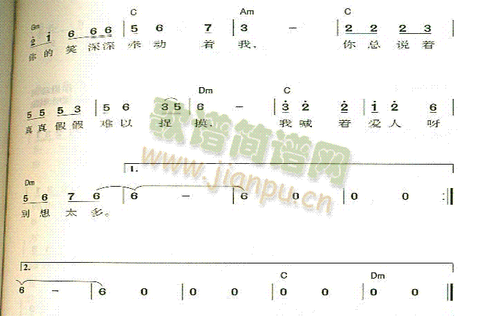 田震 《网络情缘》简谱