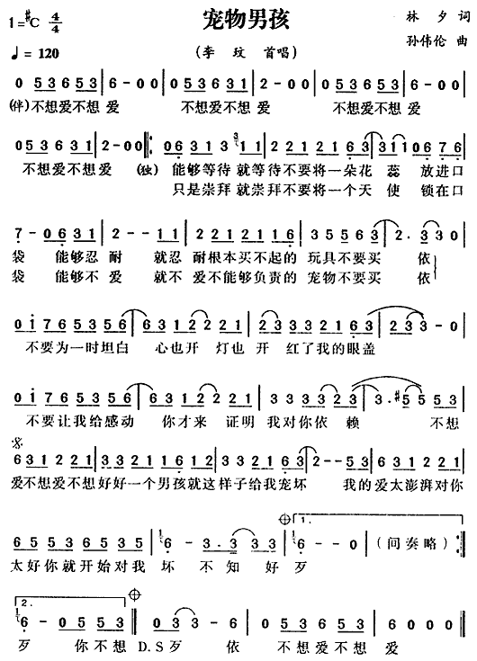 未知 《宠物男孩》简谱