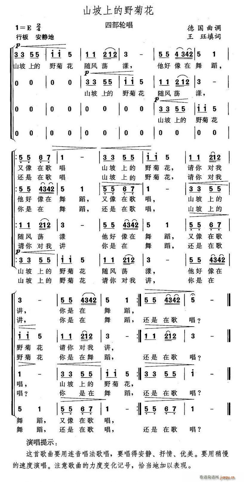 王珏 《山坡上的野菊花（四部轮唱）》简谱