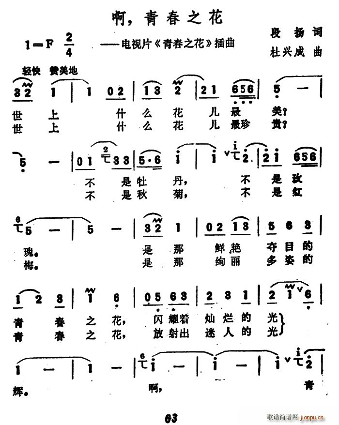 段扬 《青春之花》简谱