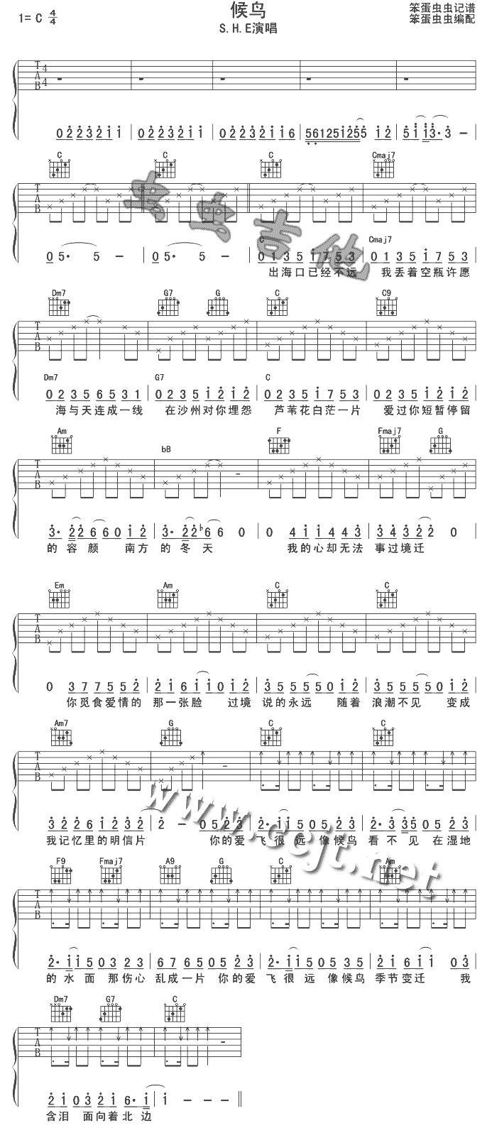 未知 《候鸟》简谱