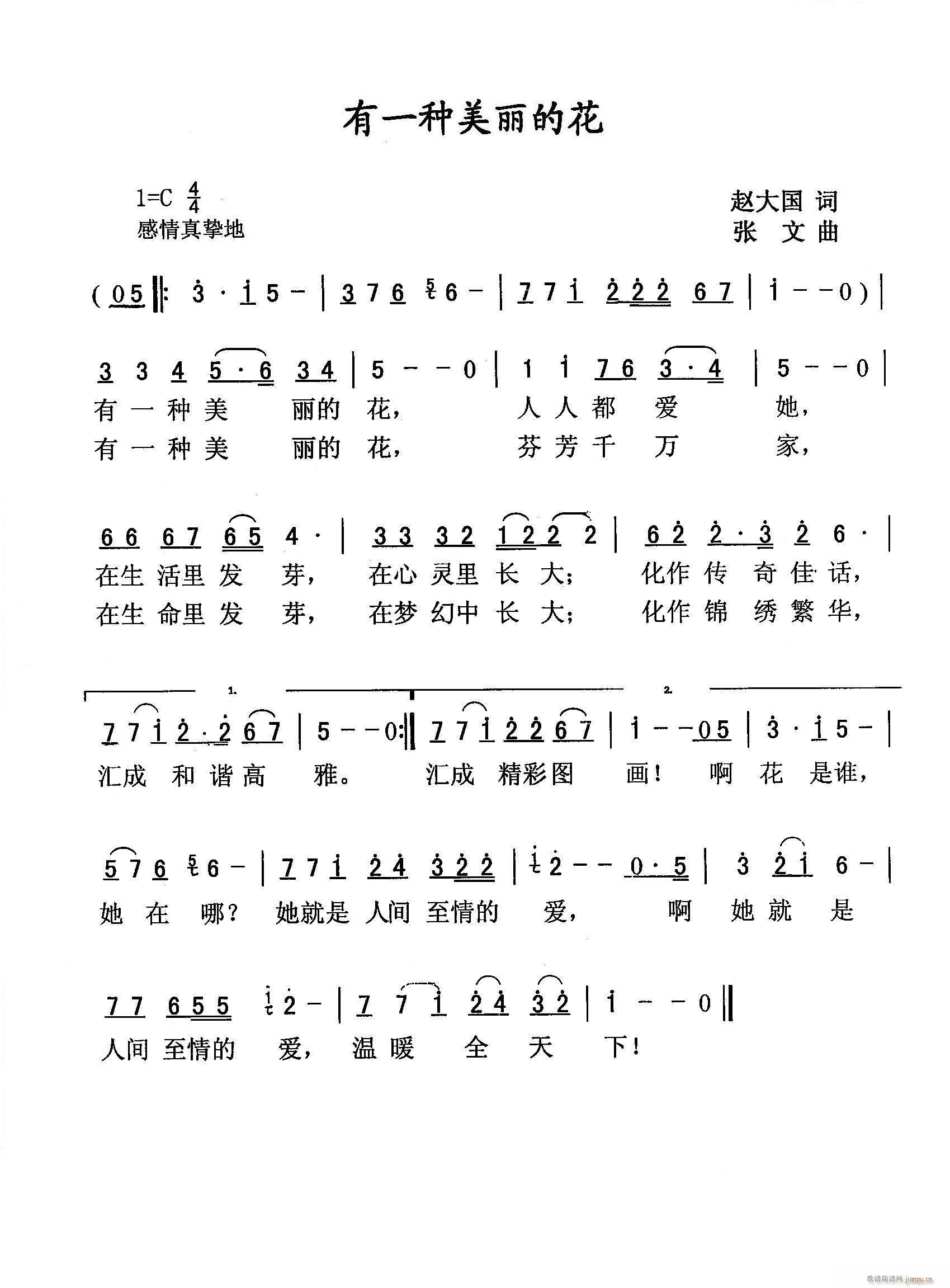 张文 赵大国 《[流行]  有一种美丽的花（赵大国词 张文曲）》简谱