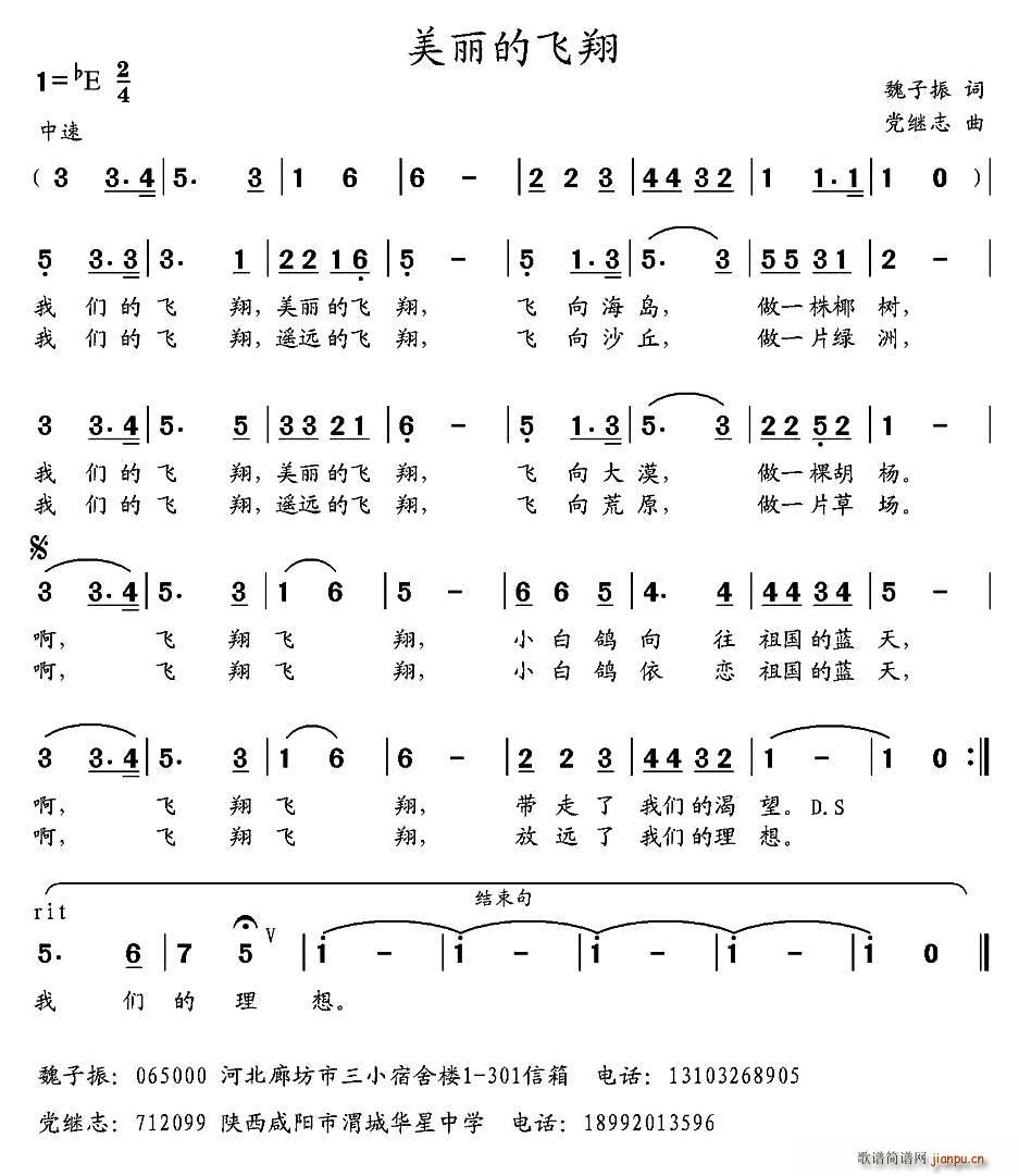 魏子振 《美丽的飞翔》简谱