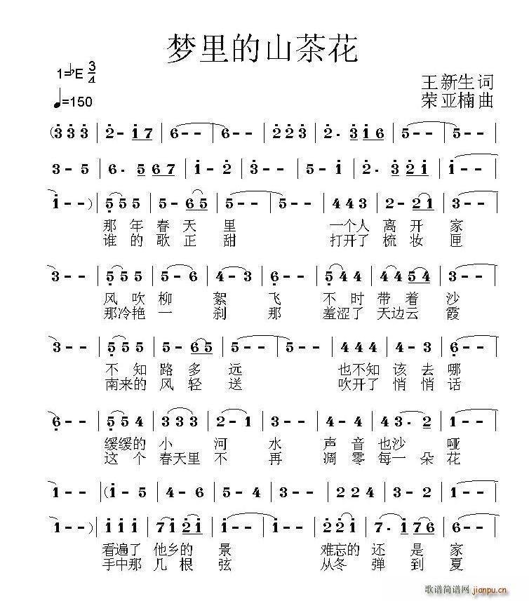 王新生 《梦中的山茶花》简谱