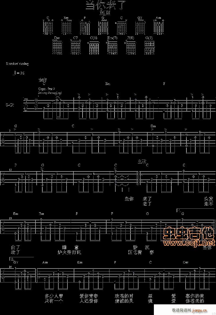 赵照 《当你老了- 带前奏 间奏 尾奏GTP6 PDF》简谱