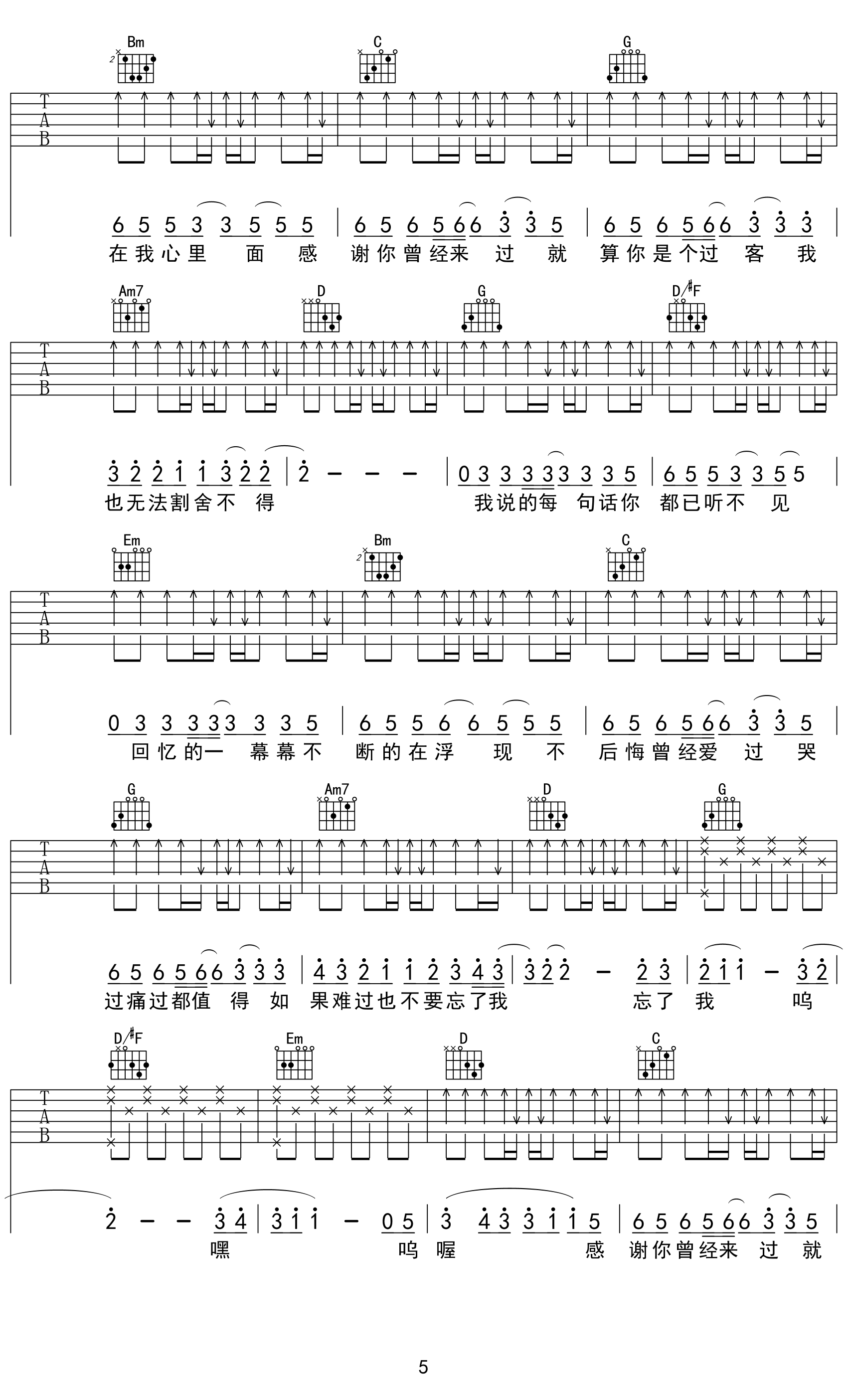 《感谢你曾来过 抖音版吉他谱》_感谢你曾来过_吉他图片谱7张 图6