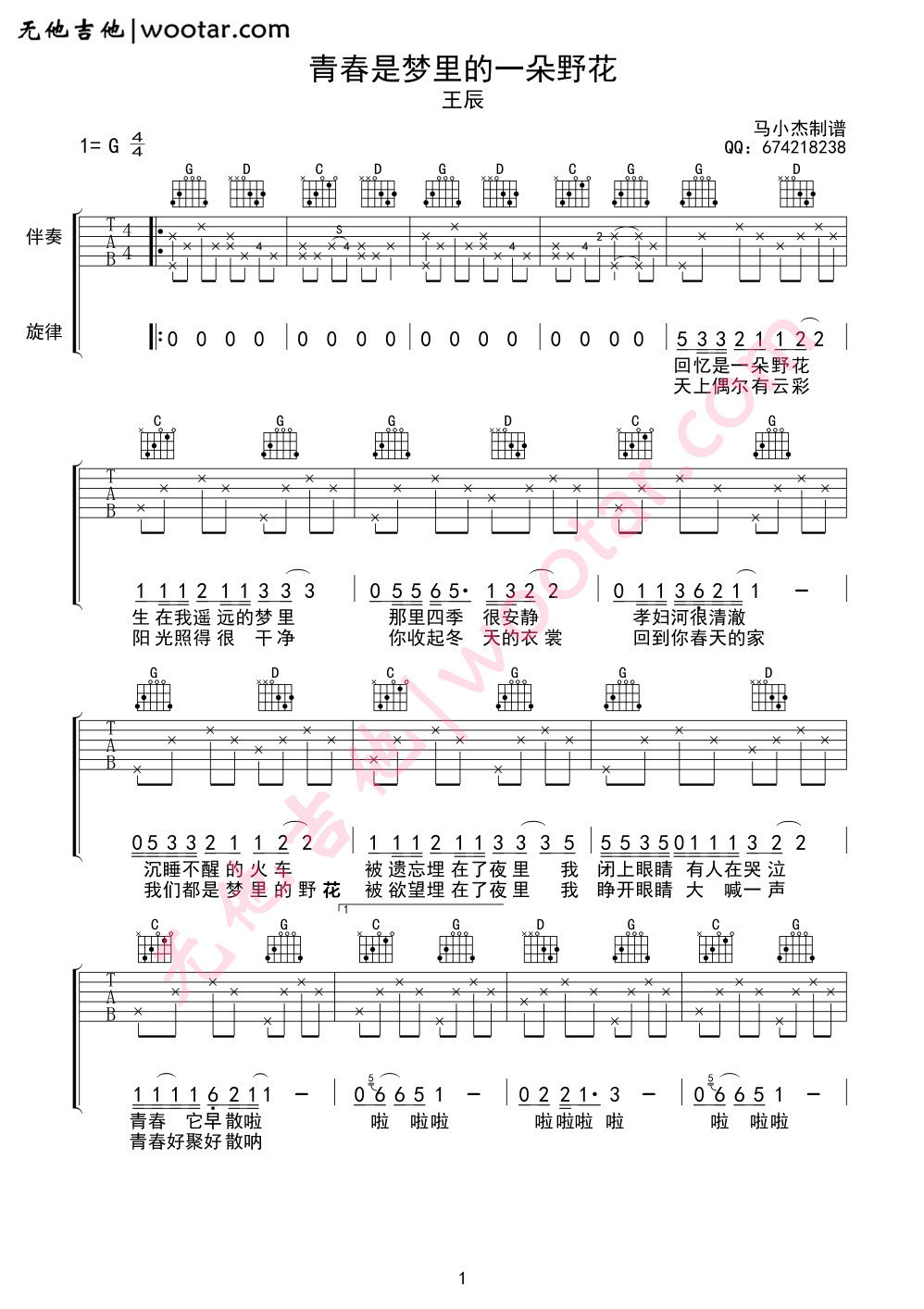 《青春是梦里的一朵野花吉他谱》_王辰_吉他图片谱4张 图2