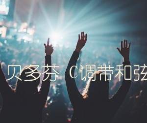 《致爱丽丝 贝多芬 C调带和弦版指弹谱吉他谱》_群星_C调_吉他图片谱1张