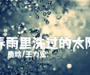 《春雨里洗过的太阳》