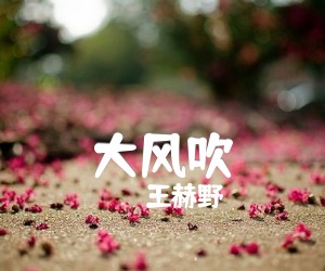 《大风吹吉他谱》_王赫野_A调 图片谱2张