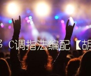 《荒度余生 山野 C调指法编配【胡sir音乐教室】吉他谱》_群星_C调 图片谱3张