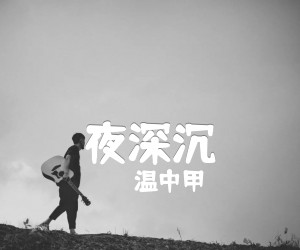 《夜深沉吉他谱》_温中甲 图片谱1张