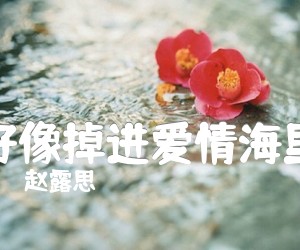 《好像掉进爱情海里》