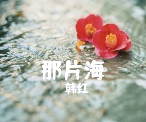 《那片海吉他谱》_韩红_G调 图片谱2张