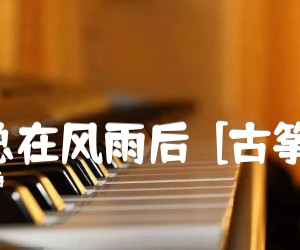 《阳光总在风雨后  [古筝曲谱]吉他谱》_许美静_D调_吉他图片谱1张