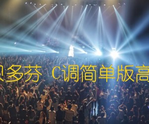 《欢乐颂 贝多芬 C调简单版高清指弹谱吉他谱》_群星_C调 图片谱1张