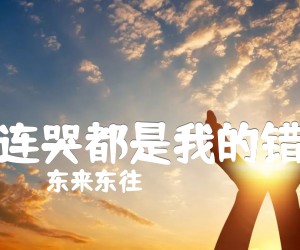 《东来东往 连哭都是我的错吉他谱》_东来东往_C调 图片谱2张