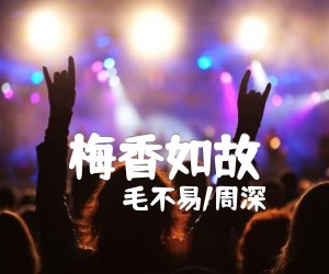 《梅香如故吉他谱》_毛不易/周深_未知调 图片谱2张