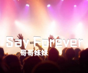 《Say Forever吉他谱》_哥哥妹妹 图片谱1张