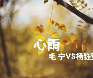 《心雨吉他谱》_毛 宁VS杨钰莹_C调 图片谱1张