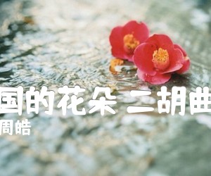 《祖国的花朵 二胡曲谱吉他谱》_周皓 图片谱1张