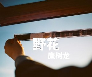 《野花吉他谱》_康树龙_E调 图片谱3张