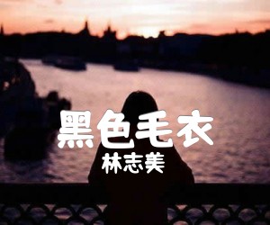 《黑色毛衣吉他谱》_林志美_吉他图片谱2张