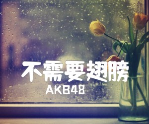 《不需要翅膀吉他谱》_AKB48_C调 图片谱1张