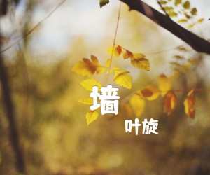 《墙吉他谱》_叶旋_吉他图片谱1张