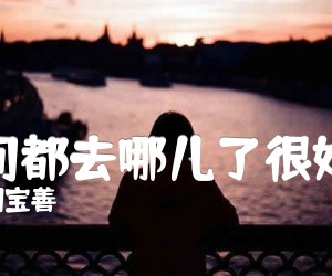 《时间都去哪儿了很好听吉他谱》_胡宝善_王铮亮(春晚歌曲)_F调 图片谱1张