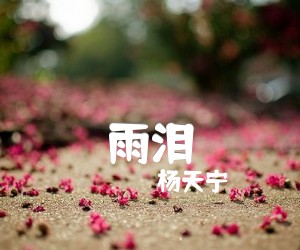 《雨泪吉他谱》_杨天宁_F调 图片谱2张