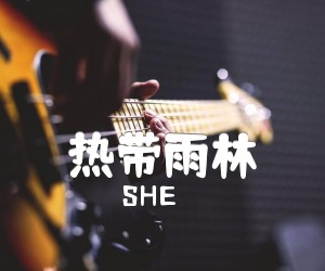 《热带雨林吉他谱》_SHE_C调 图片谱2张