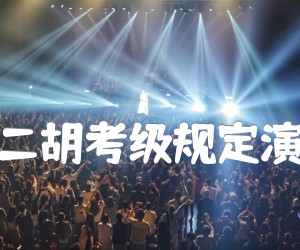 《两手配合练习(中国二胡考级规定演奏曲六级)二胡曲谱吉他谱》_王国潼 图片谱1张