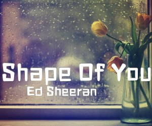 《Shape Of You》