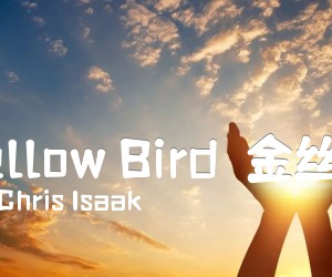 《Yellow Bird（金丝雀）吉他谱》_Chris Isaak 图片谱1张